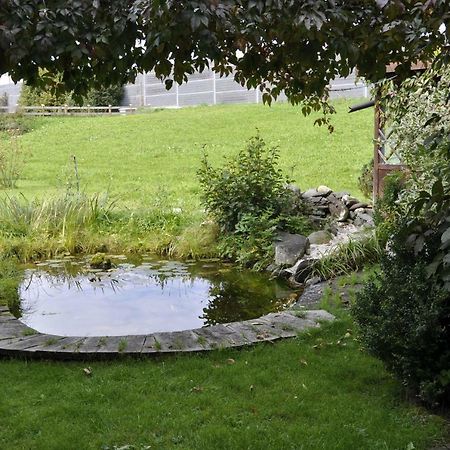 Haus Dittrich Apartman Kirchberg in Tirol Kültér fotó